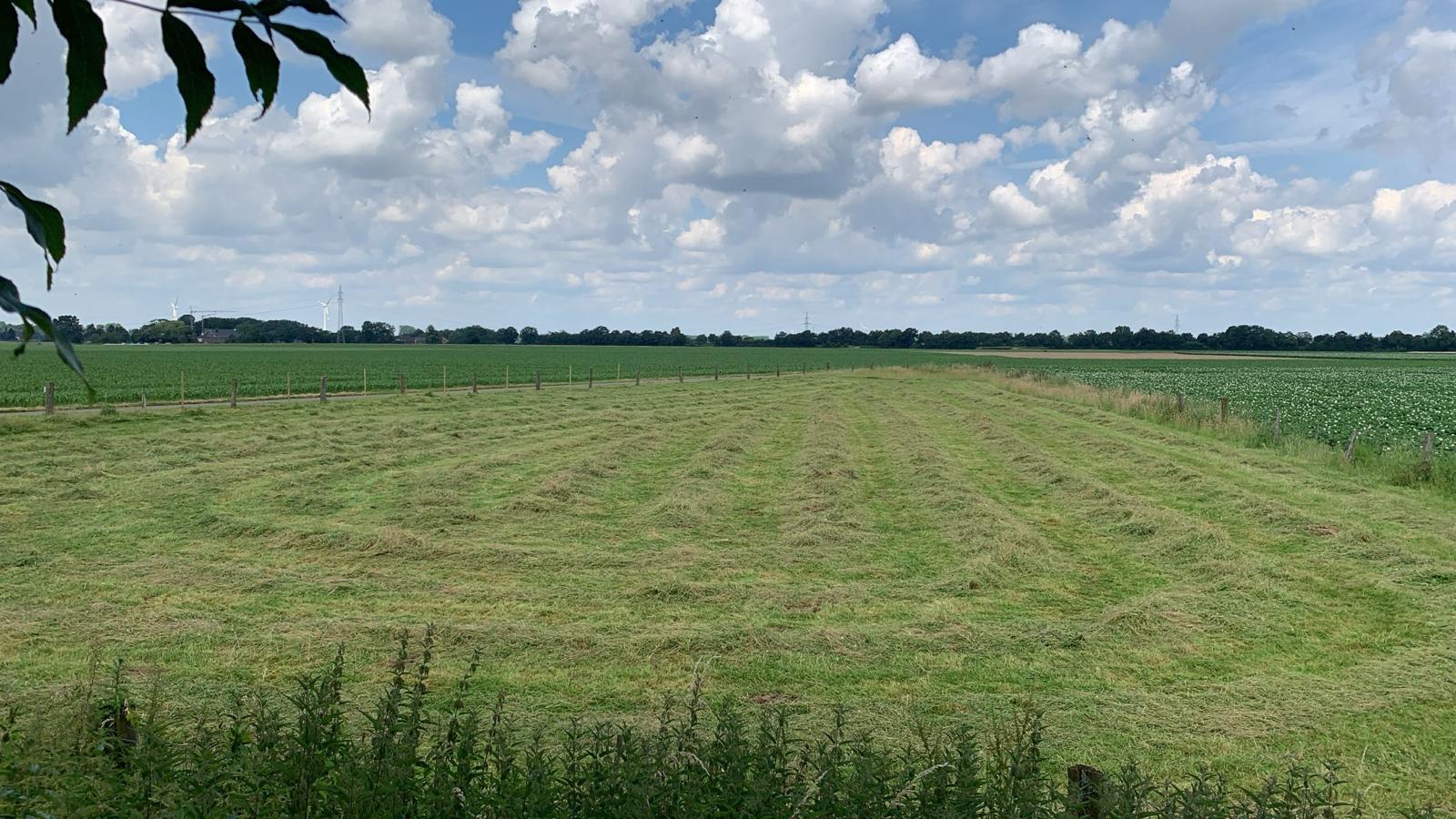 Eindruck vom Schmeddershof